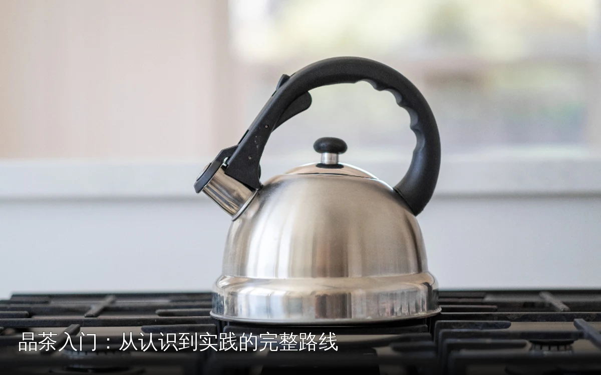 品茶入门:从认识到实践的完整路线